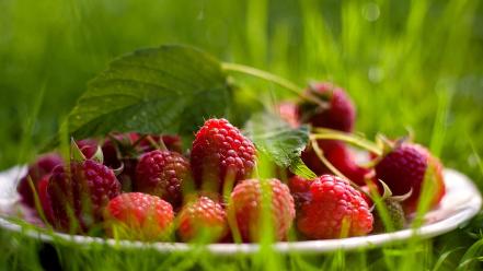 Fruits raspberries wallpaper