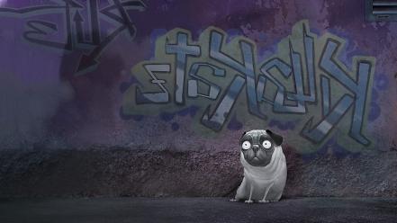 Funny pug wallpaper