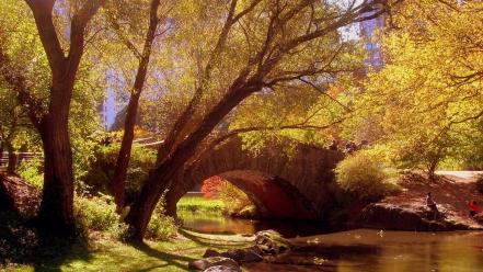 New york city manhattan central park wallpaper