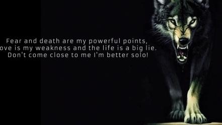 White point life points f.e.a.r wolves powerful wallpaper