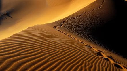 Landscapes nature desert sand dunes footprint dessert wallpaper