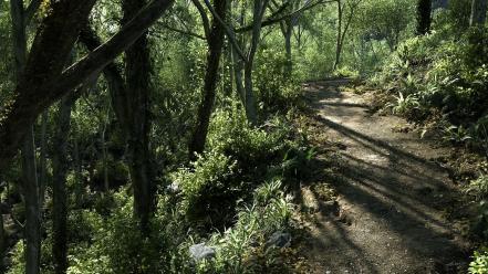 Landscapes trees dirt wallpaper