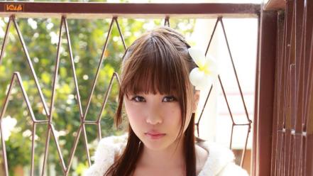 Brunettes cleavage japanese asians mai nishida wallpaper