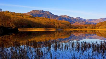 Landscapes nature forest lakes wallpaper