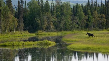 Landscapes nature running lakes wallpaper