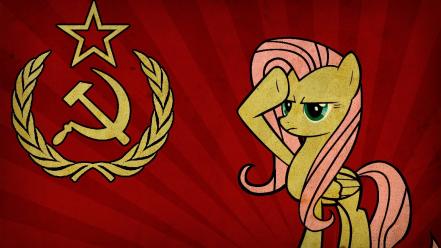 My little fluttershy pony: friendship is magic wallpaper