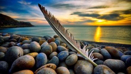 Nature wallpaper