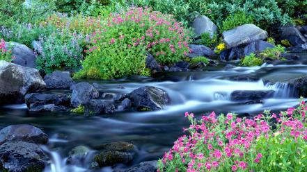 Paradise waterfalls national park washington mount rainier wallpaper