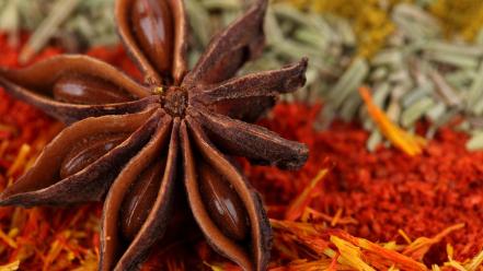 Nature asia colors herbs excited smell taste wallpaper
