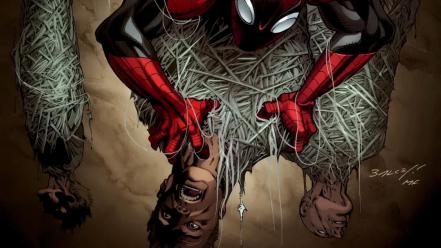 Comics spider-man marvel wallpaper