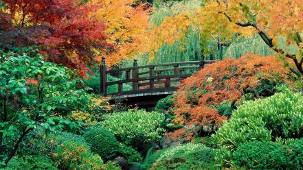Flowers garden japanese oregon portland washington wallpaper