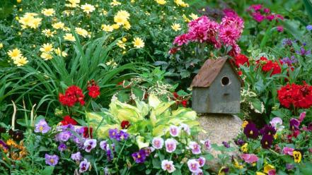 Flowers garden massachusetts wallpaper