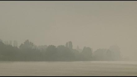 Forest fog artwork normandie james lapett sea wallpaper