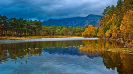 Landscapes nature trees lakes wallpaper