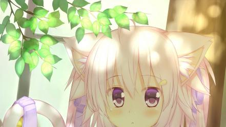 Panties uniforms nekomimi lolicon white hair wallpaper