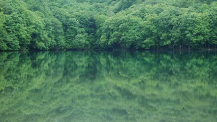 Green water japan landscapes trees lakes rivers wallpaper