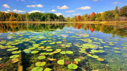 Landscapes nature autumn lakes forest wallpaper