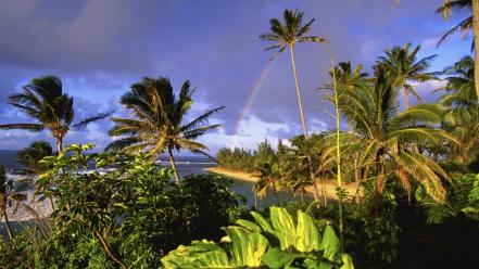 Nature hawaii kauai parks beach wallpaper