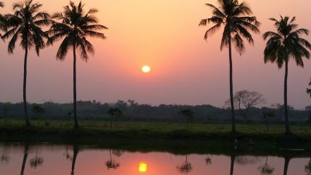 Sunset landscapes nature palm trees rivers reflections evening wallpaper