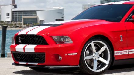 Ford mustang shelby gt350 cars wallpaper