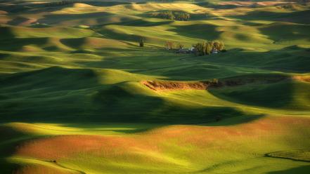 Palouse washington farm fields grass wallpaper