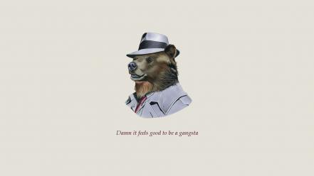 Animals bears funny quotes wallpaper