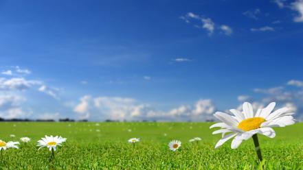 Beautiful nature view wallpaper