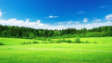 Green nature landscape wallpaper