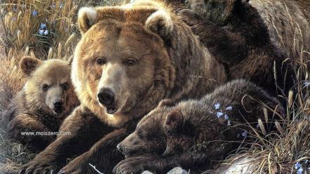 Resolution bears vista wall wallpaper