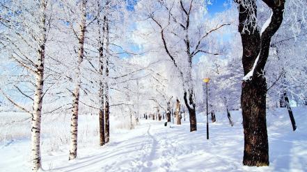 Snow road wallpaper