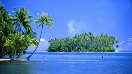 Tropical island pictures wallpaper