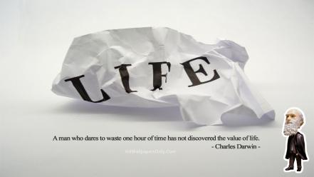 Cute life quotes wallpaper