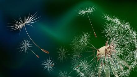 Dandelion flower background wallpaper