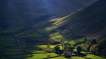 Deva district brown creek farm wallpaper