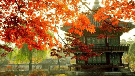 Japan seoul south korea destination wallpaper