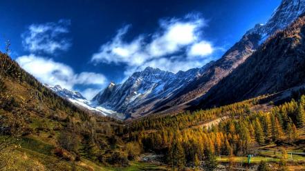 Switzerland clouds forests grass landscapes wallpaper