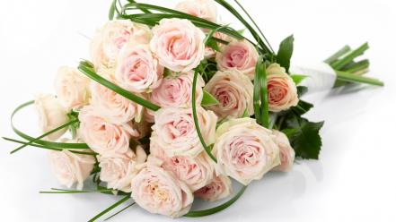 286 flowers wallpaper
