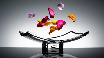 Beautiful flower petals wallpaper