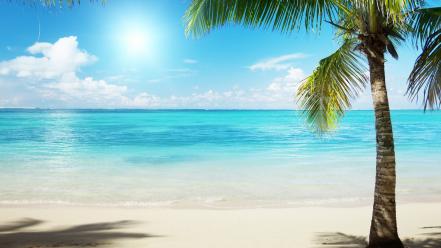 Cool sunny beach wallpaper