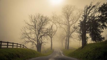 Fog roads wallpaper