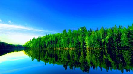 Fresh nature background wallpaper