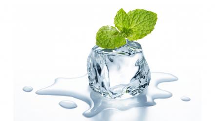 Ice cubes melting mint wallpaper