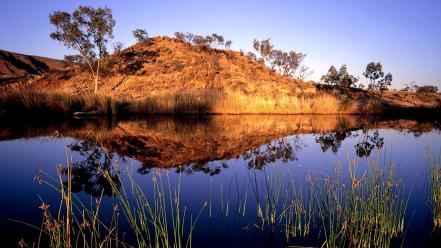 Landscapes nature reflections trees wallpaper