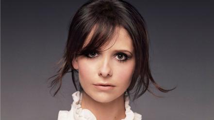 Sarah michelle gellar 2013 wallpaper