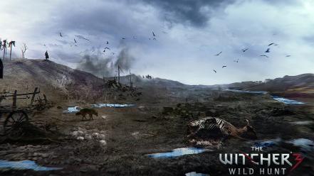 The witcher 3: wild hunt wallpaper