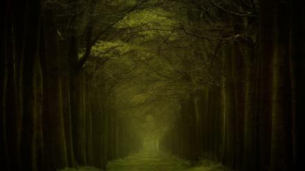 Arche dark dawn forests grass wallpaper