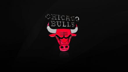 Chicago bulls logo wallpaper