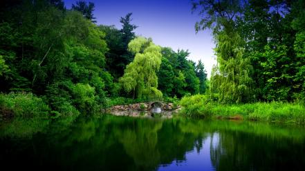 Green forest river wallpaper