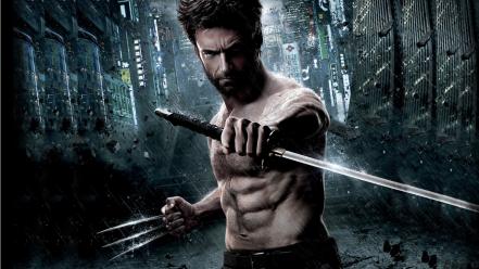 The wolverine wallpaper