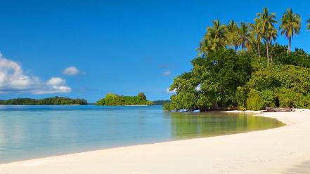 Tropical beach nature wallpaper